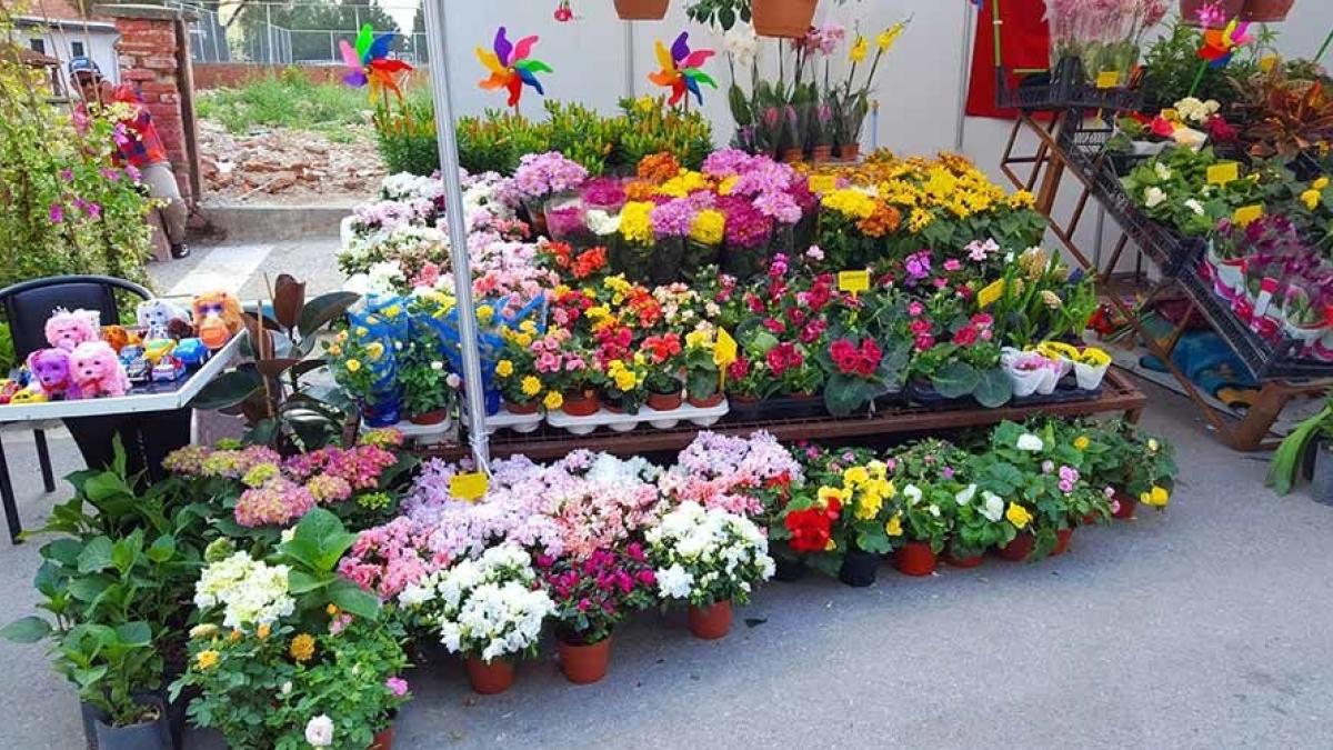 BAYINDIR ÇİÇEK FESTİVALİ